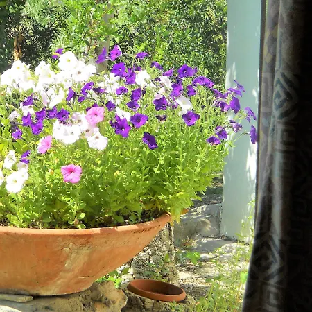 Casa Anselmi - Argonautivacanze Apartman *