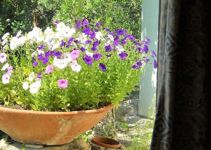 Casa Anselmi - Argonautivacanze * Portoferraio